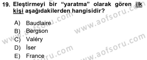 Eleştiri Kuramları Dersi 2024 - 2025 Yılı (Final) Dönem Sonu Sınav Soruları 19. Soru