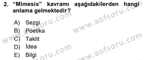 Eleştiri Kuramları Dersi 2024 - 2025 Yılı (Final) Dönem Sonu Sınav Soruları 2. Soru