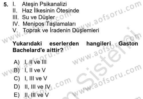 Eleştiri Kuramları Dersi 2024 - 2025 Yılı (Final) Dönem Sonu Sınav Soruları 5. Soru