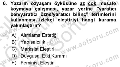 Eleştiri Kuramları Dersi 2024 - 2025 Yılı (Final) Dönem Sonu Sınav Soruları 6. Soru
