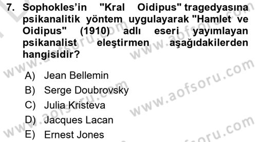 Eleştiri Kuramları Dersi 2024 - 2025 Yılı (Final) Dönem Sonu Sınav Soruları 7. Soru