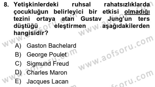 Eleştiri Kuramları Dersi 2024 - 2025 Yılı (Final) Dönem Sonu Sınav Soruları 8. Soru