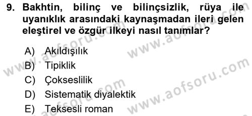 Eleştiri Kuramları Dersi 2024 - 2025 Yılı (Final) Dönem Sonu Sınav Soruları 9. Soru