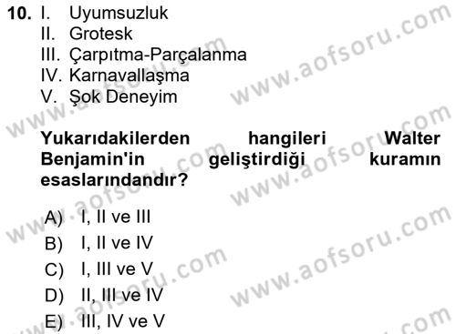 Eleştiri Kuramları Dersi 2024 - 2025 Yılı Yaz Okulu Sınav Soruları 10. Soru