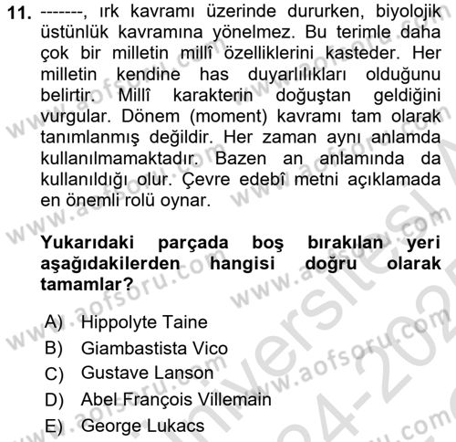 Eleştiri Kuramları Dersi 2024 - 2025 Yılı Yaz Okulu Sınav Soruları 11. Soru