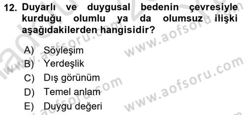 Eleştiri Kuramları Dersi 2024 - 2025 Yılı Yaz Okulu Sınav Soruları 12. Soru