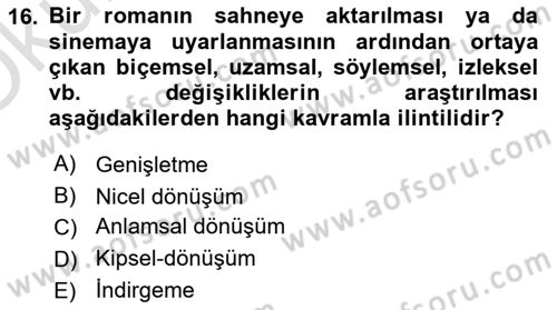 Eleştiri Kuramları Dersi 2024 - 2025 Yılı Yaz Okulu Sınav Soruları 16. Soru