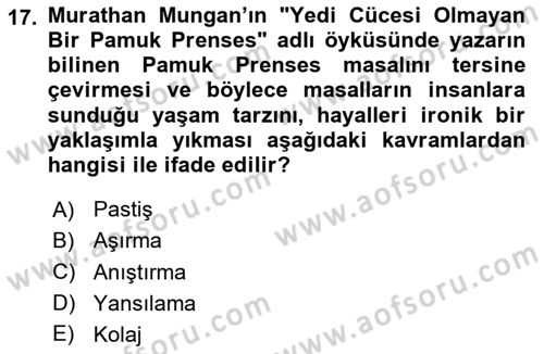 Eleştiri Kuramları Dersi 2024 - 2025 Yılı Yaz Okulu Sınav Soruları 17. Soru