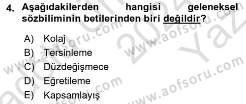 Eleştiri Kuramları Dersi 2024 - 2025 Yılı Yaz Okulu Sınav Soruları 4. Soru