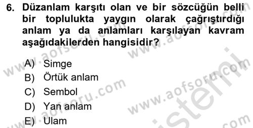 Eleştiri Kuramları Dersi 2024 - 2025 Yılı Yaz Okulu Sınav Soruları 6. Soru