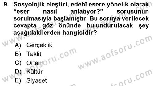 Eleştiri Kuramları Dersi 2024 - 2025 Yılı Yaz Okulu Sınav Soruları 9. Soru