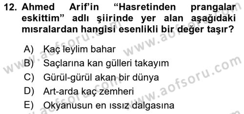 Eleştiri Kuramları Dersi 2025 - 2026 Yılı (Vize) Ara Sınav Soruları 12. Soru