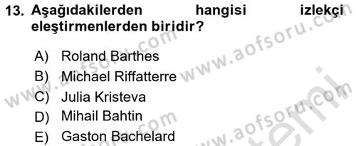 Eleştiri Kuramları Dersi 2025 - 2026 Yılı (Vize) Ara Sınav Soruları 13. Soru