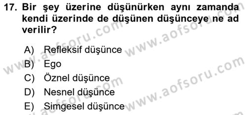 Eleştiri Kuramları Dersi 2025 - 2026 Yılı (Vize) Ara Sınav Soruları 17. Soru