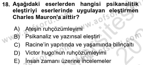 Eleştiri Kuramları Dersi 2025 - 2026 Yılı (Vize) Ara Sınav Soruları 18. Soru