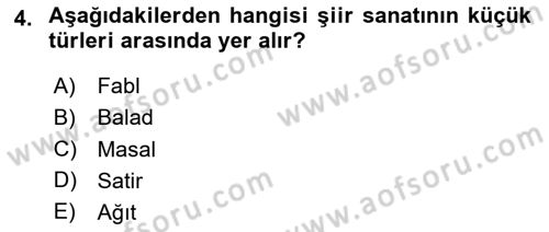 Eleştiri Kuramları Dersi 2025 - 2026 Yılı (Vize) Ara Sınav Soruları 4. Soru