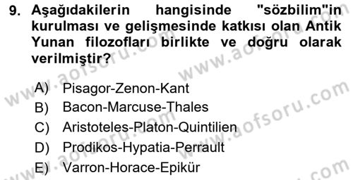 Eleştiri Kuramları Dersi 2025 - 2026 Yılı (Vize) Ara Sınav Soruları 9. Soru