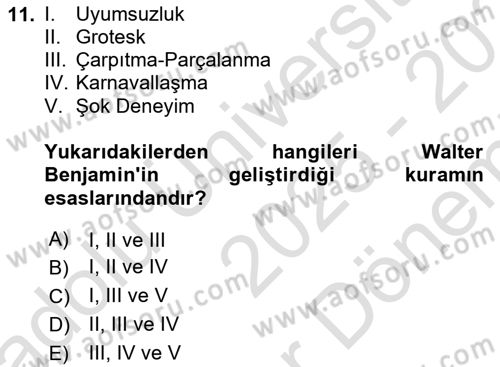 Eleştiri Kuramları Dersi 2025 - 2026 Yılı (Final) Dönem Sonu Sınav Soruları 11. Soru