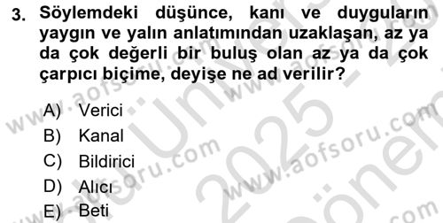Eleştiri Kuramları Dersi 2025 - 2026 Yılı (Final) Dönem Sonu Sınav Soruları 3. Soru