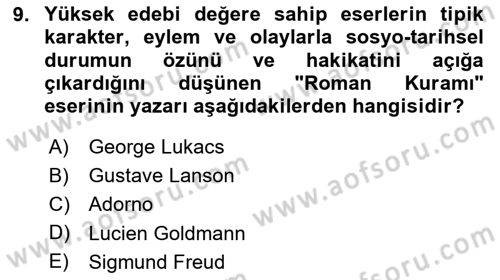 Eleştiri Kuramları Dersi 2025 - 2026 Yılı (Final) Dönem Sonu Sınav Soruları 9. Soru
