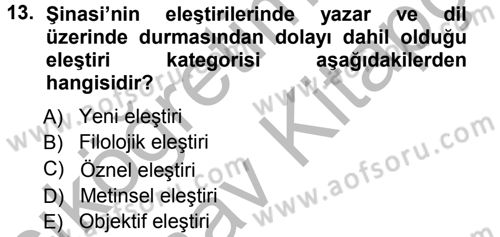 Eleştiri Tarihi Dersi 2012 - 2013 Yılı (Vize) Ara Sınavı 13. Soru