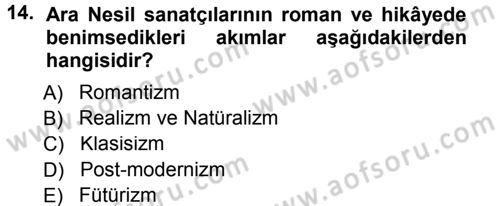 Eleştiri Tarihi Dersi 2012 - 2013 Yılı (Final) Dönem Sonu Sınav Soruları 14. Soru