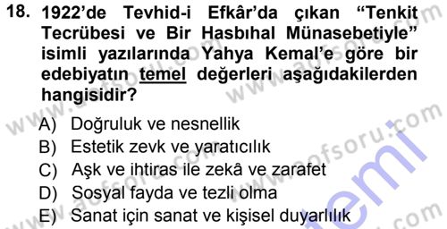 Eleştiri Tarihi Dersi 2012 - 2013 Yılı (Final) Dönem Sonu Sınav Soruları 18. Soru