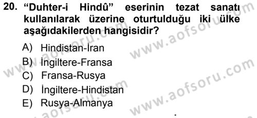 Eleştiri Tarihi Dersi 2012 - 2013 Yılı (Final) Dönem Sonu Sınav Soruları 20. Soru