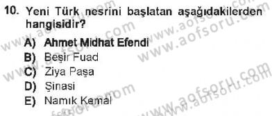 Eleştiri Tarihi Dersi 2012 - 2013 Yılı Tek Ders Sınav Soruları 10. Soru