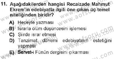 Eleştiri Tarihi Dersi 2012 - 2013 Yılı Tek Ders Sınav Soruları 11. Soru