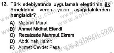 Eleştiri Tarihi Dersi 2012 - 2013 Yılı Tek Ders Sınav Soruları 13. Soru