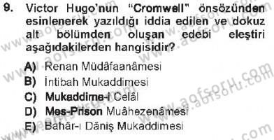 Eleştiri Tarihi Dersi 2012 - 2013 Yılı Tek Ders Sınav Soruları 9. Soru