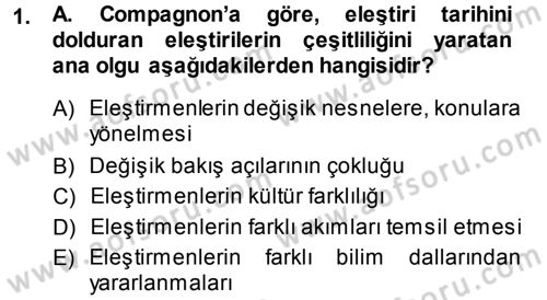 Eleştiri Tarihi Dersi 2013 - 2014 Yılı (Vize) Ara Sınav Soruları 1. Soru