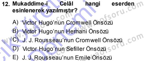 Eleştiri Tarihi Dersi Ara Sınavı Deneme Sınav Soruları 12. Soru