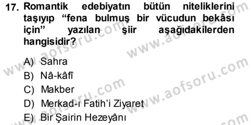 Eleştiri Tarihi Dersi Ara Sınavı Deneme Sınav Soruları 17. Soru