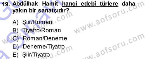 Eleştiri Tarihi Dersi Ara Sınavı Deneme Sınav Soruları 19. Soru