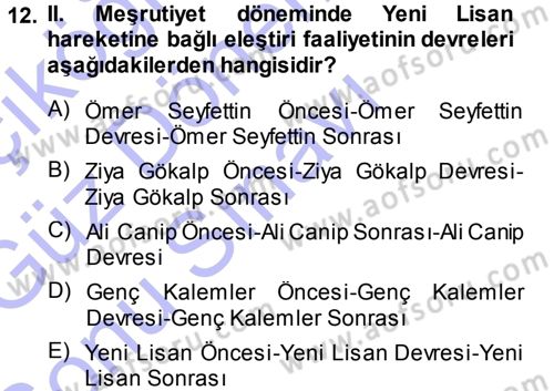 Eleştiri Tarihi Dersi 2013 - 2014 Yılı (Final) Dönem Sonu Sınav Soruları 12. Soru