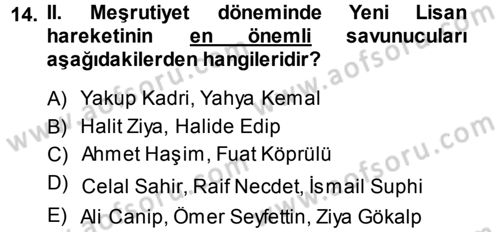 Eleştiri Tarihi Dersi 2013 - 2014 Yılı (Final) Dönem Sonu Sınav Soruları 14. Soru