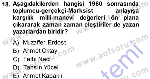 Eleştiri Tarihi Dersi 2013 - 2014 Yılı (Final) Dönem Sonu Sınav Soruları 18. Soru