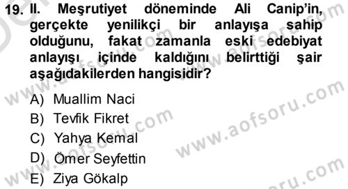 Eleştiri Tarihi Dersi 2013 - 2014 Yılı Tek Ders Sınav Soruları 19. Soru