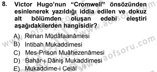 Eleştiri Tarihi Dersi 2013 - 2014 Yılı Tek Ders Sınav Soruları 8. Soru
