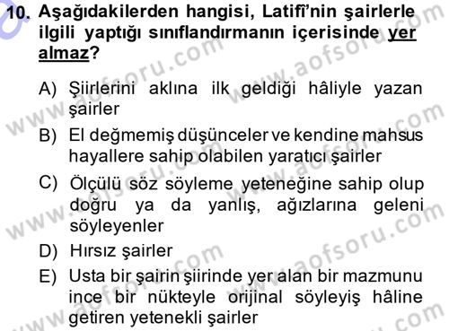 Eleştiri Tarihi Dersi 2014 - 2015 Yılı (Vize) Ara Sınav Soruları 10. Soru