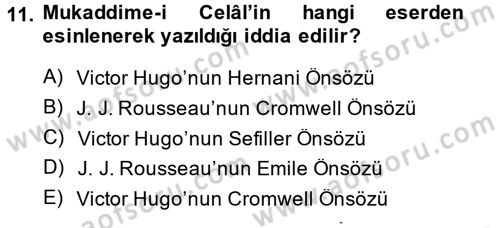 Eleştiri Tarihi Dersi 2014 - 2015 Yılı (Vize) Ara Sınav Soruları 11. Soru