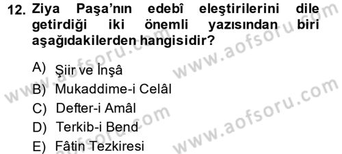 Eleştiri Tarihi Dersi 2014 - 2015 Yılı (Vize) Ara Sınav Soruları 12. Soru