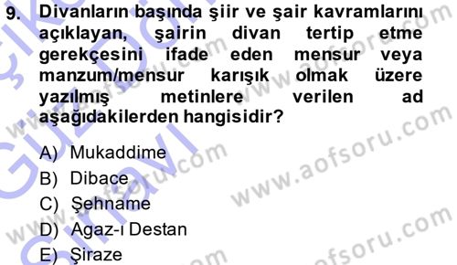 Eleştiri Tarihi Dersi 2014 - 2015 Yılı (Vize) Ara Sınav Soruları 9. Soru