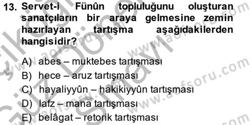 Eleştiri Tarihi Dersi 2014 - 2015 Yılı (Final) Dönem Sonu Sınavı 13. Soru