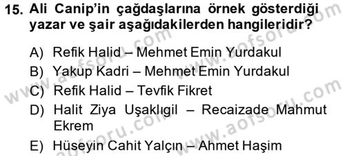 Eleştiri Tarihi Dersi 2014 - 2015 Yılı (Final) Dönem Sonu Sınav Soruları 15. Soru