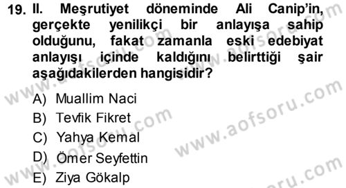 Eleştiri Tarihi Dersi 2014 - 2015 Yılı Tek Ders Sınav Soruları 19. Soru