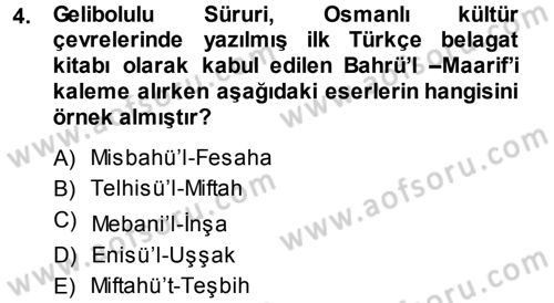 Eleştiri Tarihi Dersi 2014 - 2015 Yılı Tek Ders Sınav Soruları 4. Soru