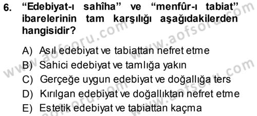 Eleştiri Tarihi Dersi 2014 - 2015 Yılı Tek Ders Sınav Soruları 6. Soru